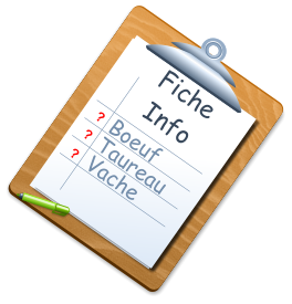 Fiche  Info  Vache Boeuf Taureau ? ? ?